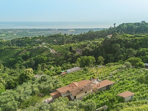 Vue aérienne