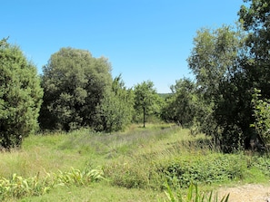 Boendeområde