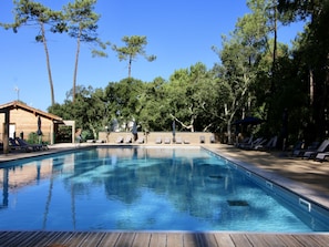 Pool Outdoor