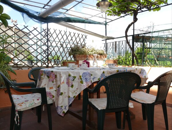 Terrace