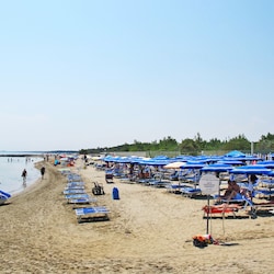 Ranta
