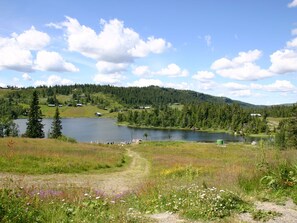 Place