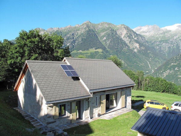 Exteriör