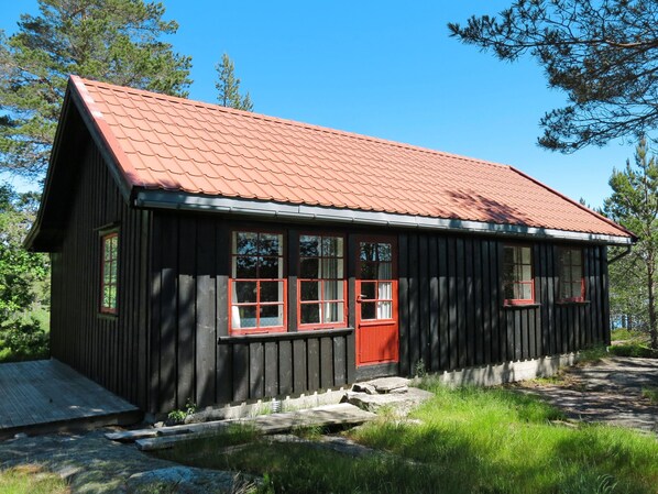 Exteriör
