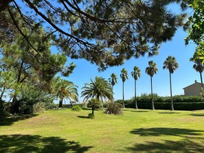 Outdoor