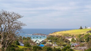 Beach/ocean view