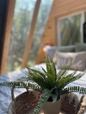 A frame cabin included in stay ! With full forest and sky views from bed
