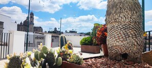 vue depuis la terrasse