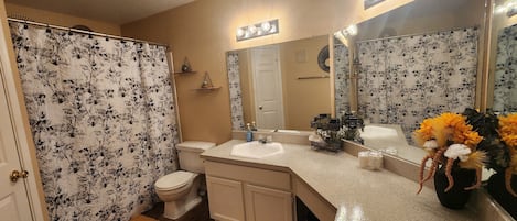 Bathroom with Jacuzzi Tub