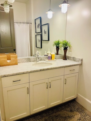 Semi-Private Bath (across hall from bedroom).