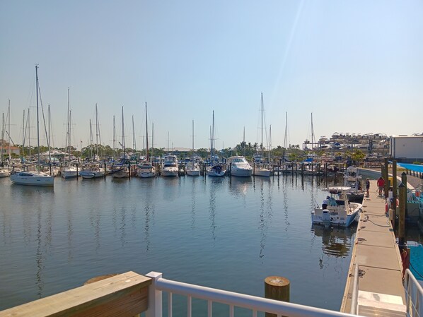Marina