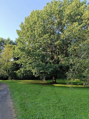 Boendeområde
