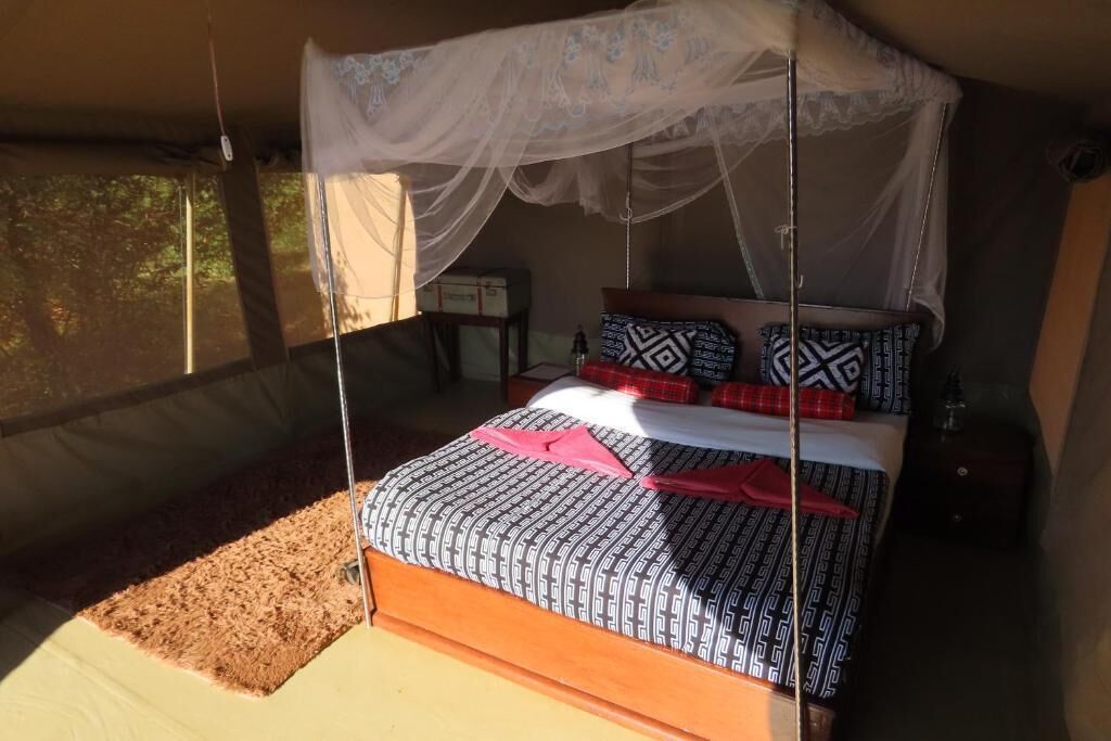 ヒグマ様専用 APPI NATURAL RETREATS