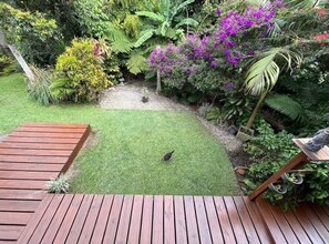 Private tropical backyard