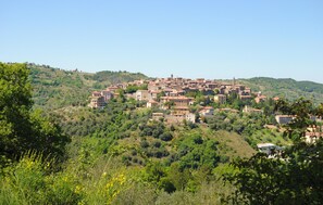 area