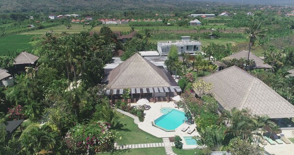 Bird View