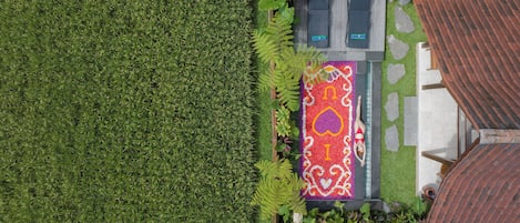 Vista desde la habitación