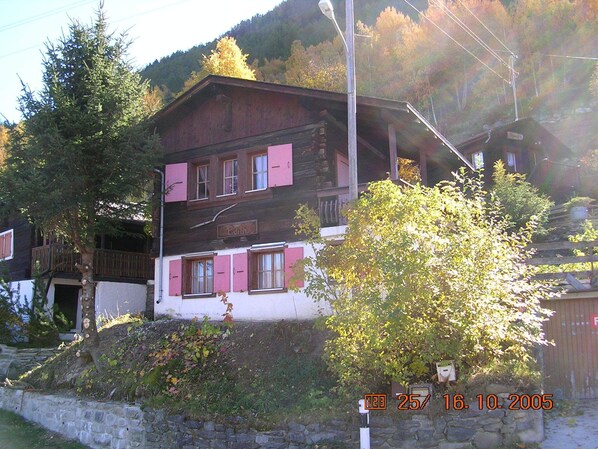Exteriör