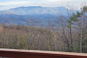 View 1