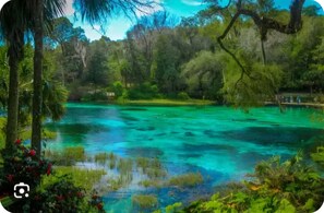 Rainbow Springs 