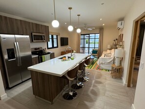 Kitchen and Living Area