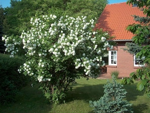 Boendeområde