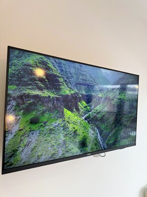 Television