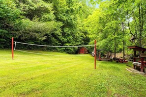 Serve Up Some Fun On Our Volleyball Court!