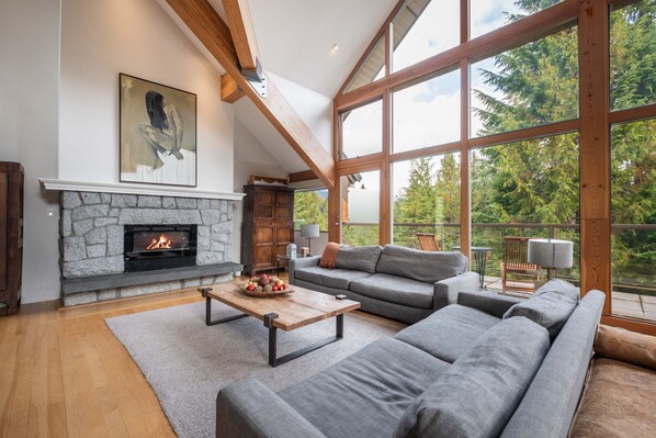 Living area: Gas fireplace, forest and mountain views