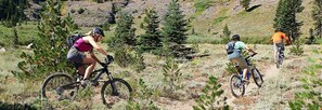 Go mountain biking!