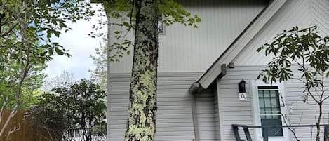 Ulkoalueet
