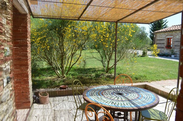 Pflanze, Eigentum, Gebäude, Botanik, Natur, Tabelle, Fenster, Tisch Im Freien, Blumentopf, Blatt