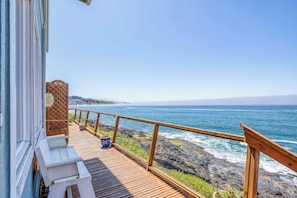 Whale Watching Bench