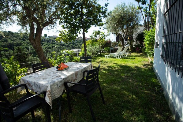 Garden with sunbeams under the olive tree