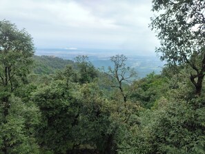 hill view
