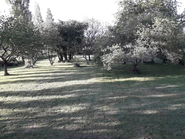 Property grounds
