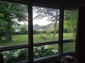 view from Living Room of private 7 acre pond 