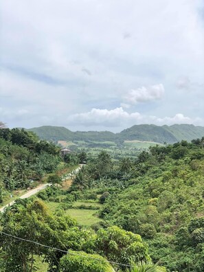 The scenery