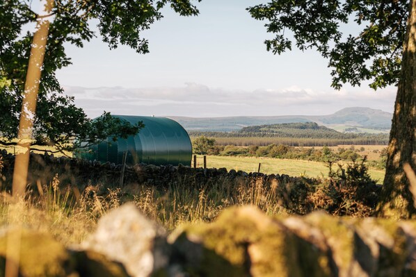 Beautiful views onto Ben Lomond