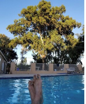 Very Relaxing Pool