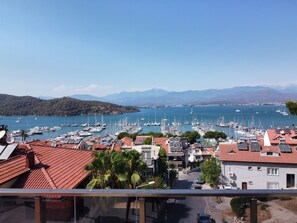 Vista desde la habitación