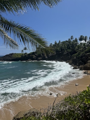 Playa