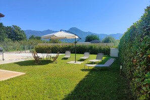 Garden [summer]