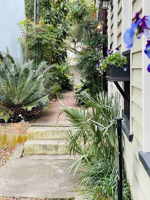 A lovely walkway beside the building leading to the street.
