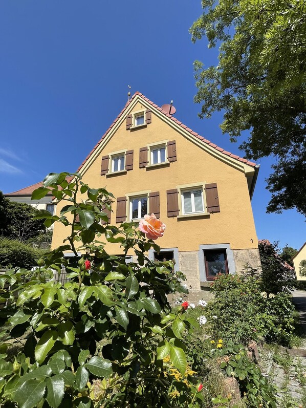 Exteriör