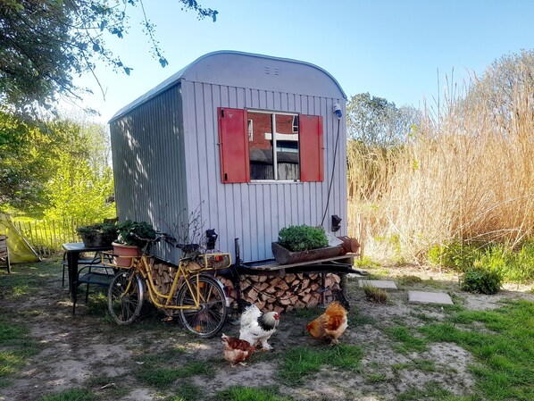 Übernachtung im Bauwagen an der Nordseeküste