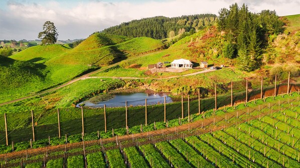 Orchard Valley