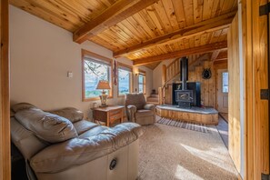 Cozy living room featuring a wood-burning stove and scenic views