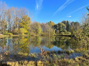 Fall over the pond