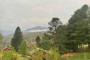 View from the apartment across fruit trees and animal barn. 